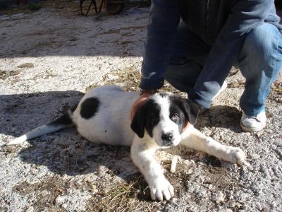C&oacute;mo hemos cambiado!