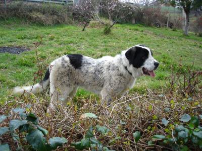 Ten&iacute;a que hablar de ti...