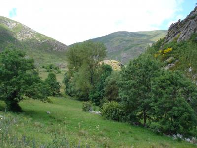 Verde que te quiero verde...