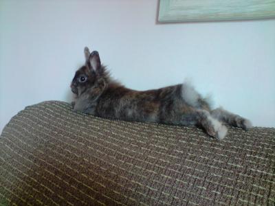 "TIRAO A LA BARTOLA"